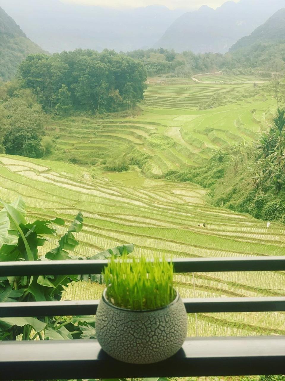 Puluong Aroma Bed and Breakfast Huong Ba Thuoc Eksteriør billede